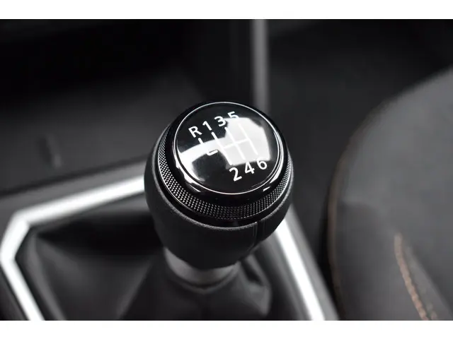 Dacia Sandero Stepway Limited Edition 2026 Benzine 28