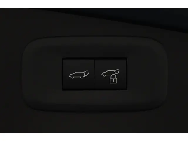 Lexus RZ 300e 35th Edition 71 kWh 2025 Elektrisch 41