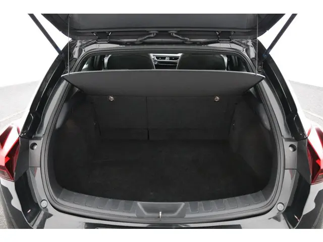 Lexus UX 300e Business 54 kWh 2020 Elektrisch 48