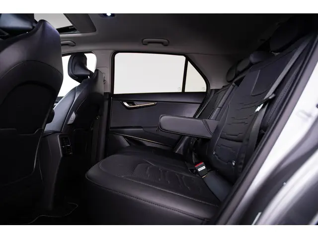 Kia Niro EV DynamicPlusLine 64.8 kWh 2023 Elektrisch 20