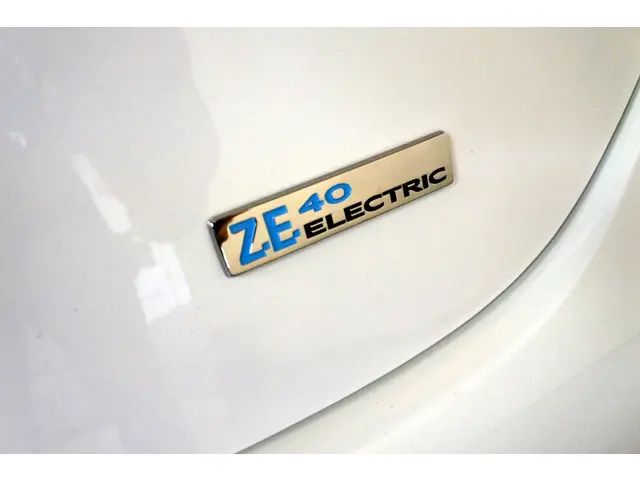 Renault ZOE R90 Life Comfort City 41 kWh 2019 Elektrisch 9