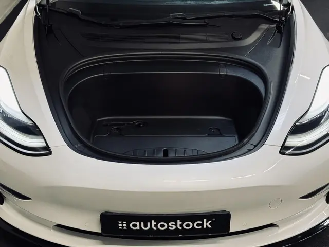 Tesla Model 3 Performance AWD 75 kWh 2019 Elektrisch 25