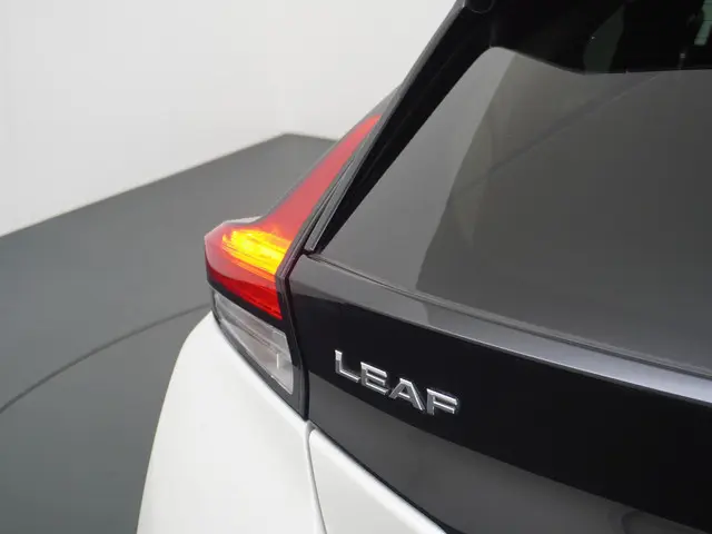 Nissan Leaf Tekna 40 kWh 2019 Elektrisch 9