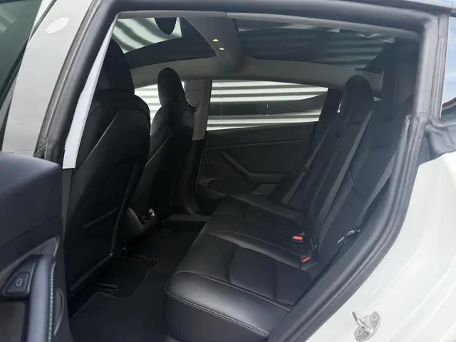 Tesla Model 3 Long Range AWD 75 kWh 2021 Elektrisch 11