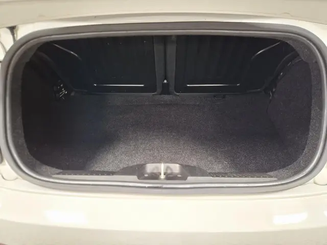 Fiat 500C 1.2 500S | Cabrio | 2015 Benzine 30
