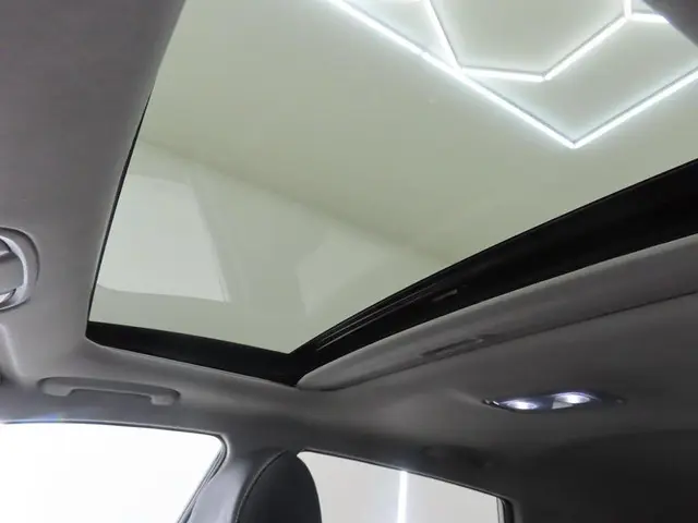 Kia e-Niro DYNAMICPLUSLINE 64 KWH 2021 Elektrisch 6