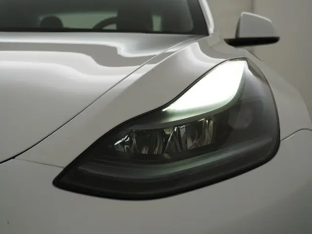 Tesla Model 3 Long Range RWD 75 kWh 2023 Elektrisch 15