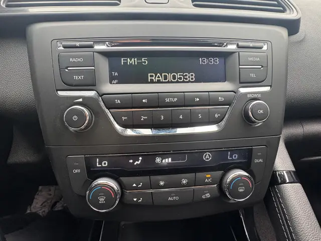 Renault Kadjar 1.2 TCe Life 2016 Benzine 12