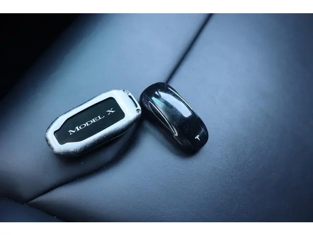 Tesla Model X 3