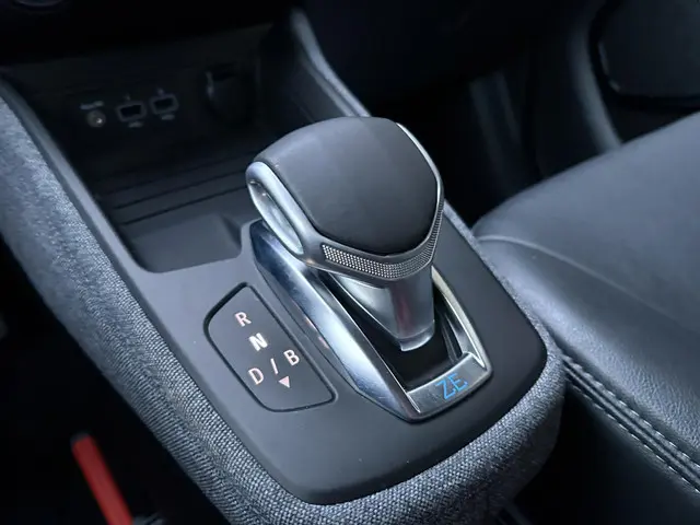 Renault ZOE R135 Intens 52 kWh 2020 Elektrisch 33