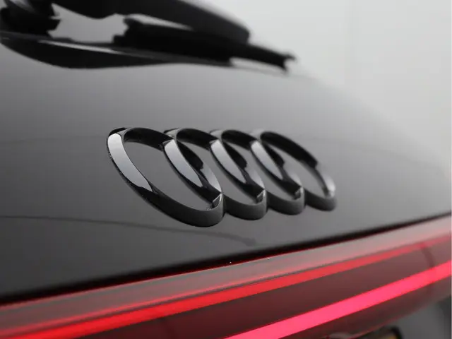 Audi e-tron 50 quattro 71 kWh 2020 Elektrisch 20