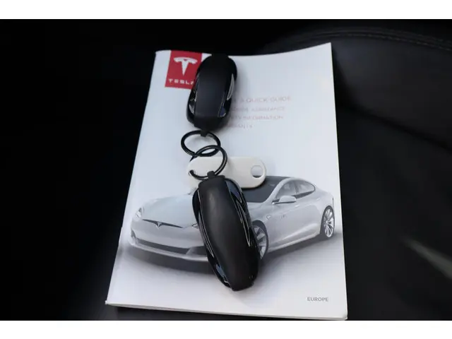 Tesla Model S 100D 2017 Elektrisch 6