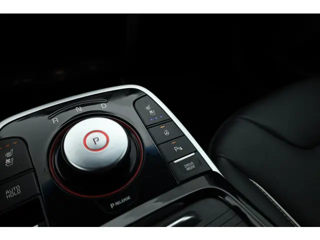 Kia e-Niro ExecutiveLine 64 kWh 2019 Elektrisch 24