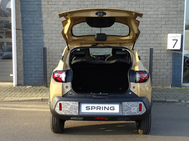 Dacia Spring Extreme 65 26.8 kWh 2025 Elektrisch 21