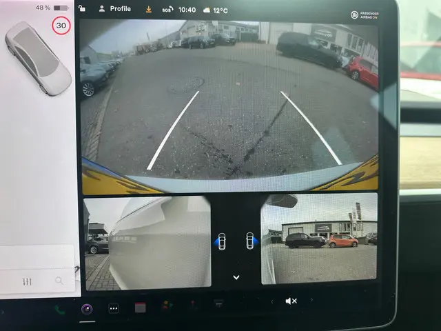 Tesla Model 3 Standard RWD Plus 60 kWh 2019 Elektrisch 24