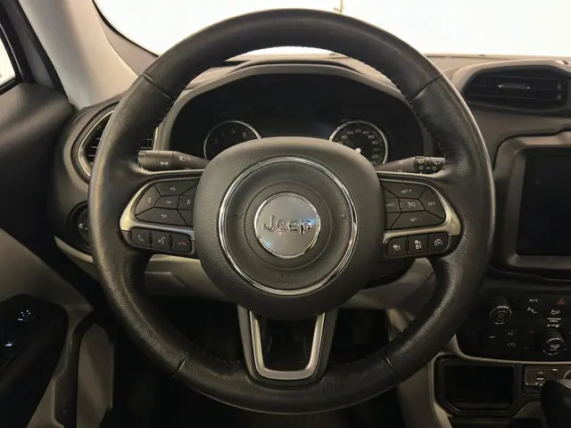 Jeep Renegade 1.3T Freedom 2019 Benzine 14