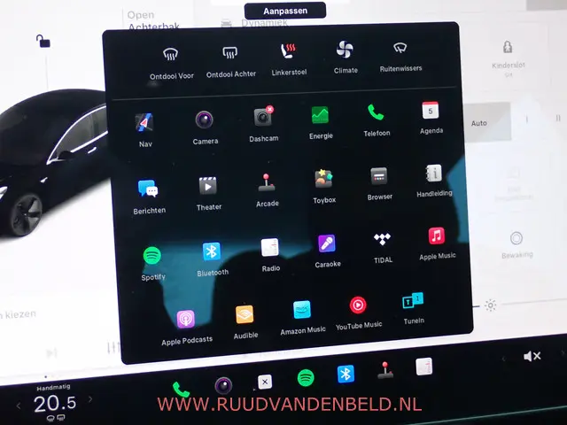 Tesla Model 3 SR+ 60KWH 2019 Elektrisch 14