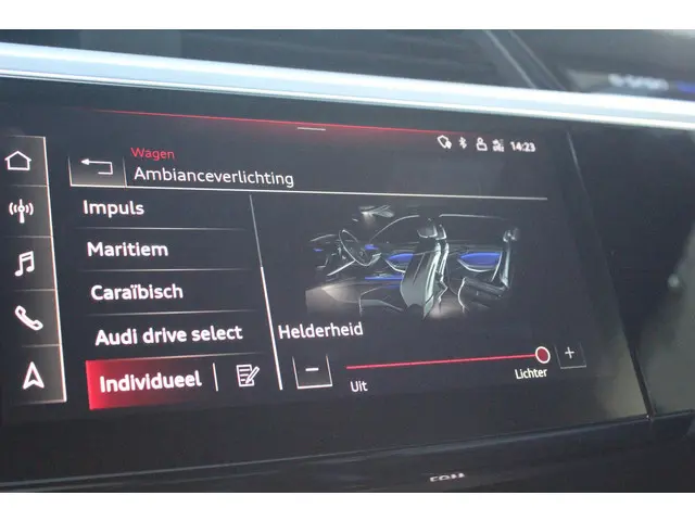 Audi e-tron S quattro 95 kWh 2020 Elektrisch 36