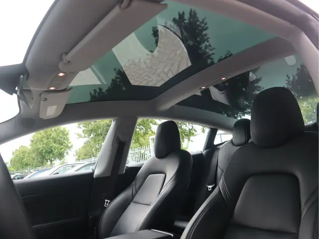 Tesla Model 3 Standard RWD Plus 60 kWh 2020 Elektrisch 11