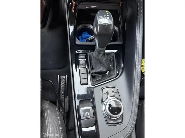 BMW X1 xDrive25d High Executive 2018 Diesel 17