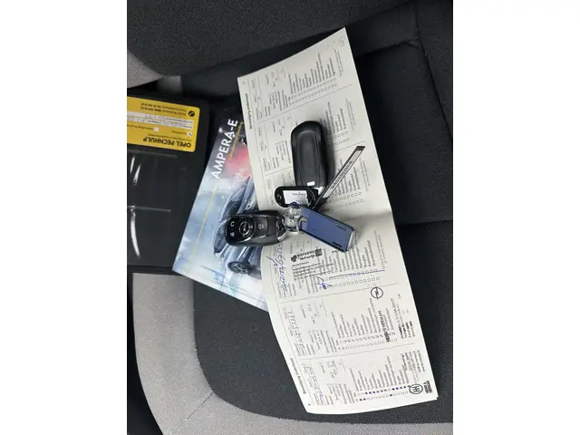 Opel Ampera-e Business executive 60 kWh 2020 Elektrisch 27