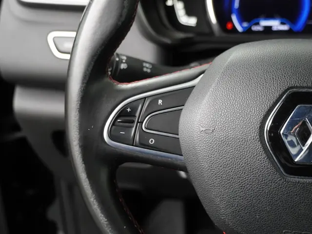 Renault Kadjar 1.3 TCe Intens 2019 Benzine 14