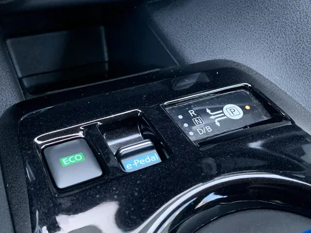 Nissan Leaf Acenta 40 kWh 2020 Elektrisch 29