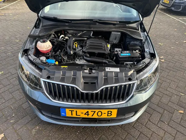 Škoda Fabia 1.0 TSI Clever , navigatie , pdc 2018 Benzine 22