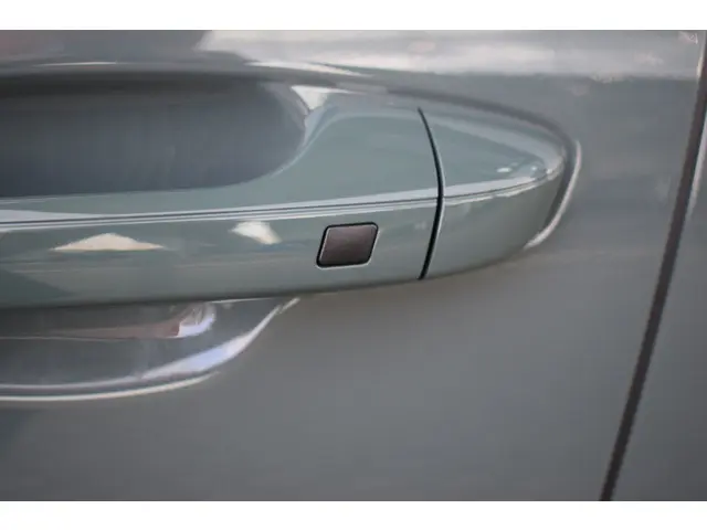 Kia Niro EV Edition Advanced 64.8 kWh 2024 Elektrisch 22