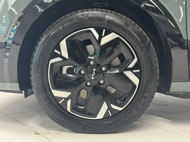 Kia Niro EV DynamicLine 64.8 kWh 2022 Elektrisch 22