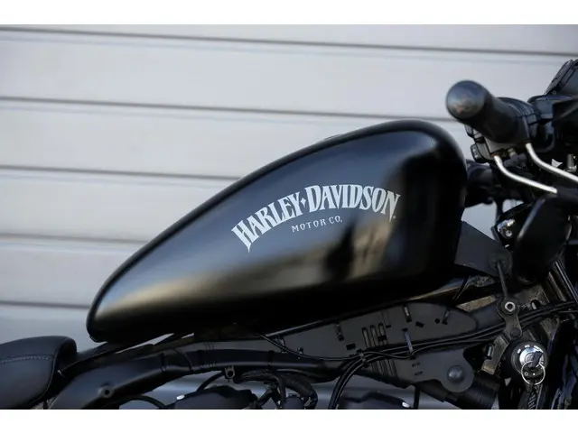 Harley-Davidson Sportster XL 883 N Iron 2013 Benzine 18