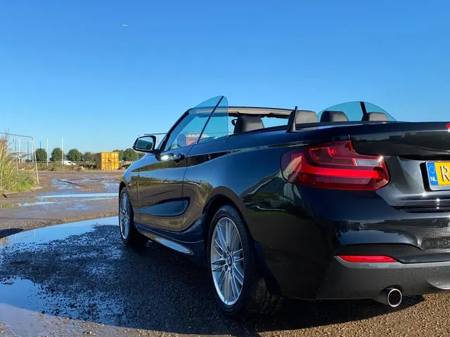 BMW 2 Serie Cabrio 220i M Sport 2016 Benzine 20