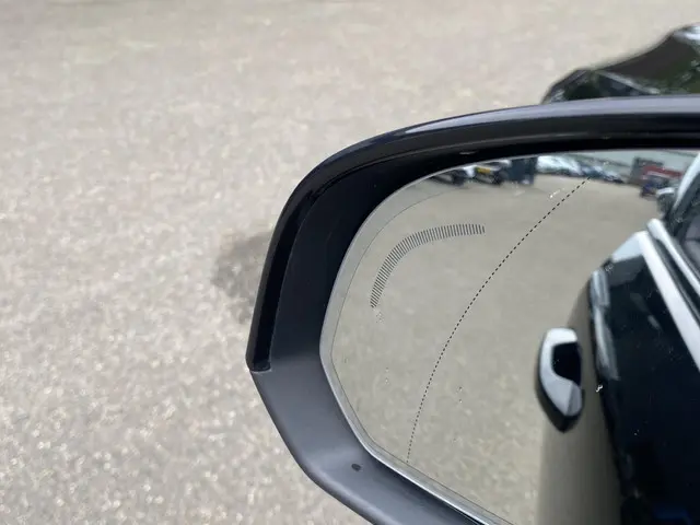 Volvo XC40 Recharge Plus 2022 Elektrisch 19