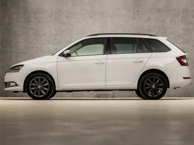 Škoda Fabia Combi 1.0 Luxury 2019 Benzine 2