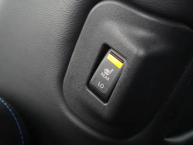 Nissan Leaf Tekna 40 kWh 2019 Elektrisch 22