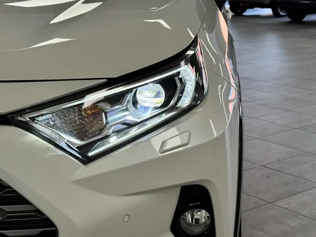 Toyota RAV4 2.5 Hybrid Bi-Tone 2019 Hybride Benzine 30