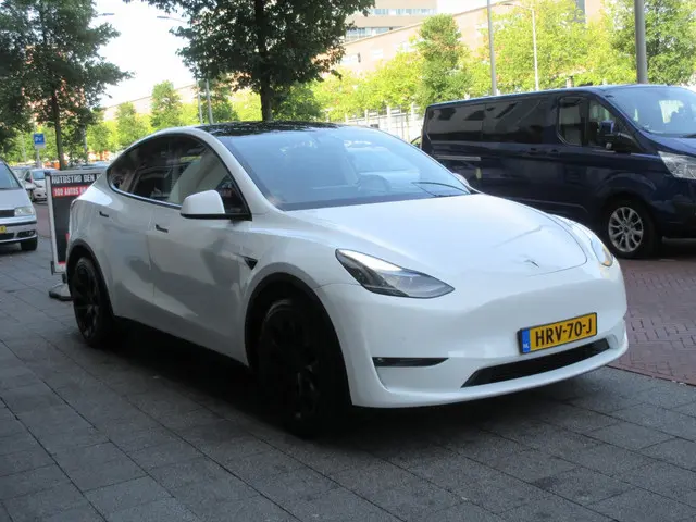Tesla Model Y Long Range AWD 75 kWh 2022 Elektrisch 4
