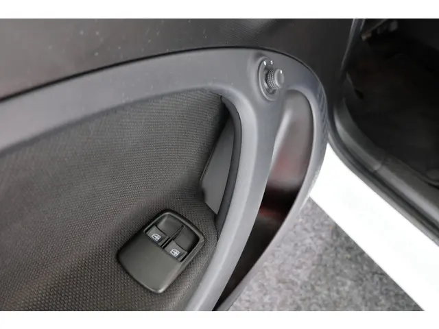 Smart Forfour 1.0 Business Solution 2018 Benzine 19