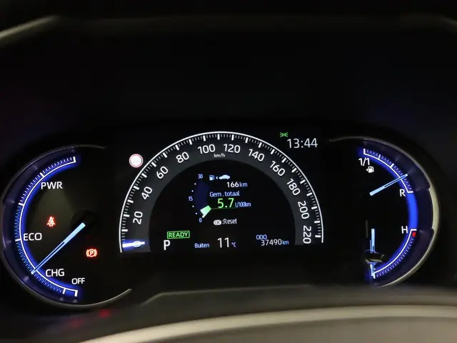 Toyota RAV4 2.5 Hybrid Style 2020 Hybride Benzine 24