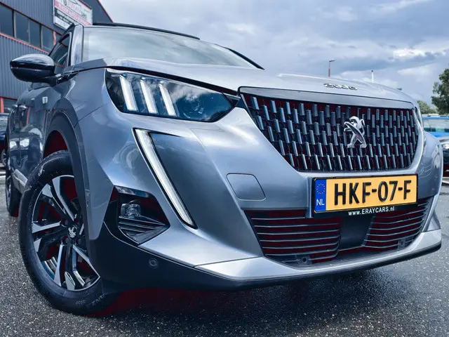 Peugeot 2008 1.2 PureTech GT 2021 Benzine 19