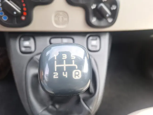 Fiat Panda 1.2 Edizione Cool 2013 Benzine 17