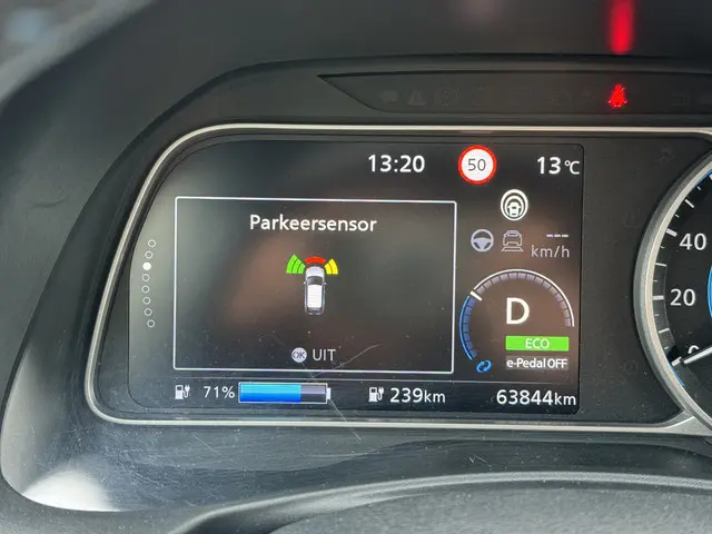 Nissan Leaf e+ Tekna 62 kWh 2019 Elektrisch 32