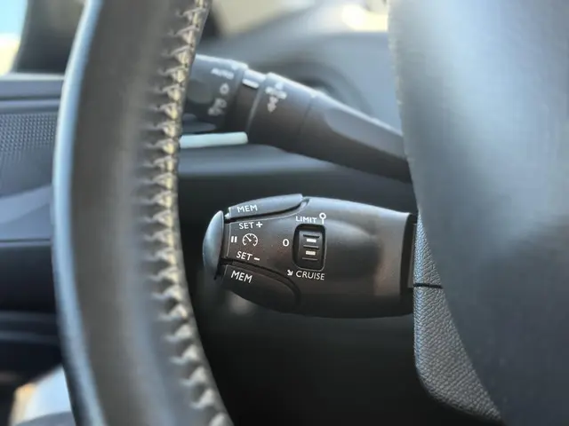 Peugeot 308 SW 1.2 PureTech Blue Lion 2017 Benzine 22