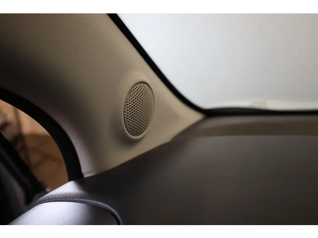 Citroën C3 Aircross PT 110 Shine 2020 Benzine 50