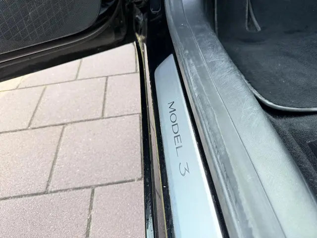 Tesla Model 3 Long Range AWD 75 kWh 2019 Elektrisch 11
