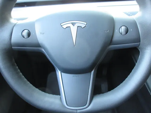Tesla Model Y Long Range AWD 75 kWh 2022 Elektrisch 14