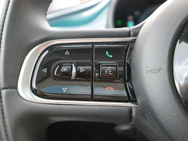 Fiat 500 Icon 42 kWh 2021 Elektrisch 14