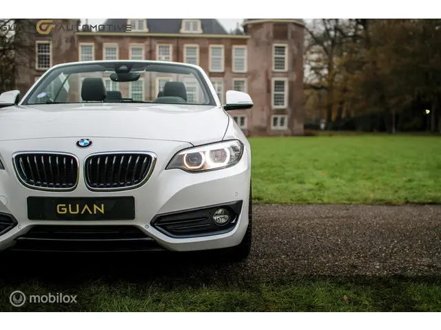 BMW 2 Serie Cabrio | 2018 Benzine 9