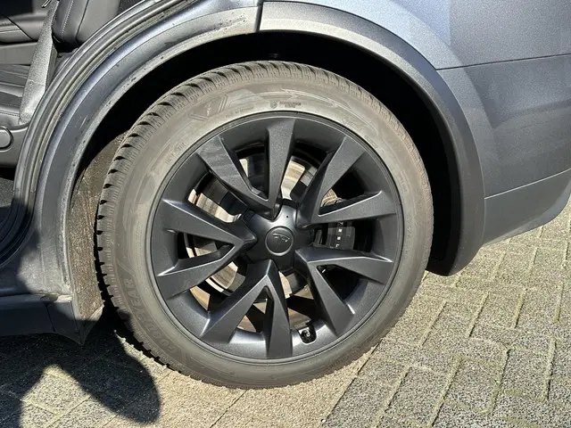 Tesla Model X Dual Motor AWD 100 kWh 2023 Elektrisch 10