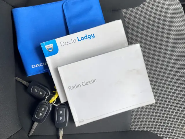 Dacia Lodgy 1.6 SCe 7p. 2019 Benzine 28